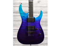 ESP E-II Horizon NT-II BPG ESP E-II Horizon NT-II BPG